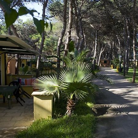 Camping La Vecchia Torre Hotel Gallipoli Kültér fotó